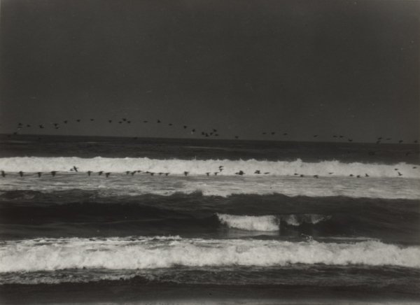 Сокровенная Мексика в фотографиях Мануэля Альвареса Браво