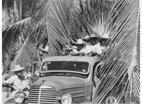 Сокровенная Мексика в фотографиях Мануэля Альвареса Браво