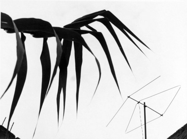 Сокровенная Мексика в фотографиях Мануэля Альвареса Браво