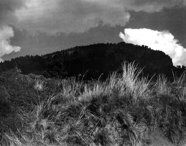 Сокровенная Мексика в фотографиях Мануэля Альвареса Браво