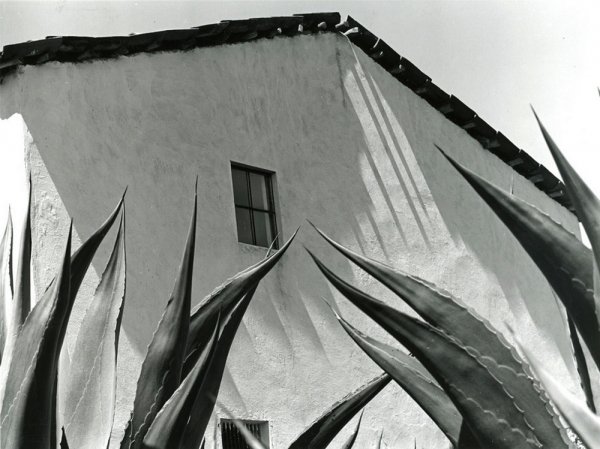 Сокровенная Мексика в фотографиях Мануэля Альвареса Браво