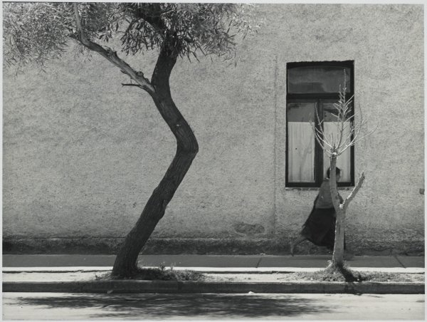 Сокровенная Мексика в фотографиях Мануэля Альвареса Браво