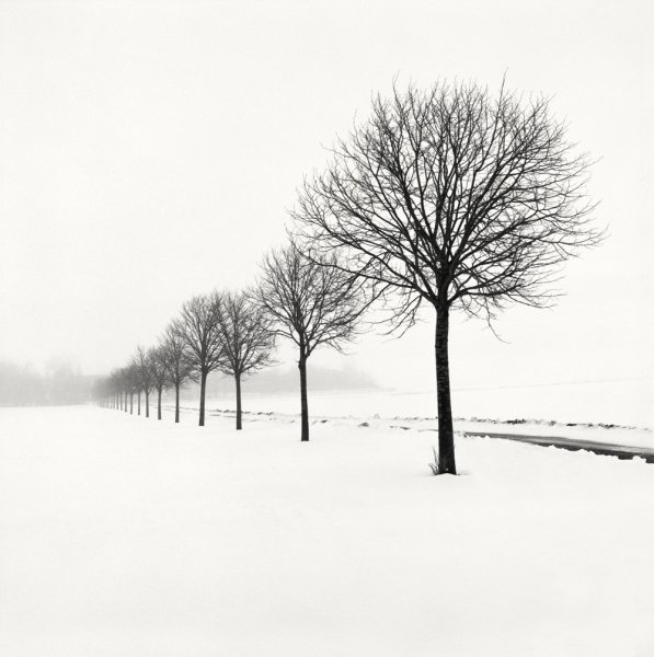 «Тихие моменты» – визуальные поэмы шведского фотографа Хокана Странда