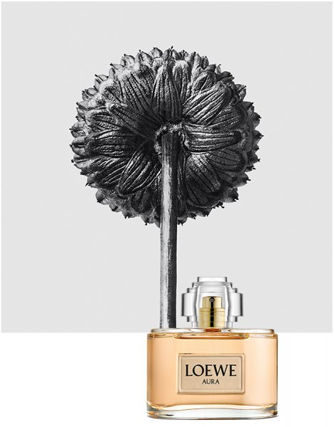  це треба бачити: красиві оголені тіла, бурхливе море і дивовижні квіти в рекламній кампанії Loewe