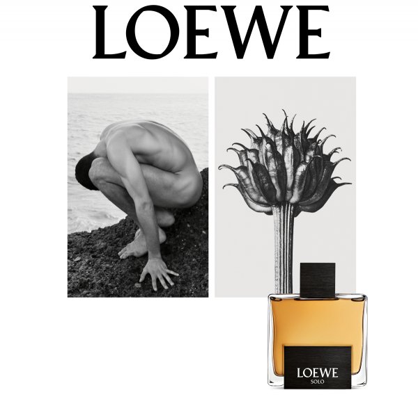 Это надо видеть: красивые обнаженные тела, бушующее море и диковинные цветы в рекламной кампании Loewe